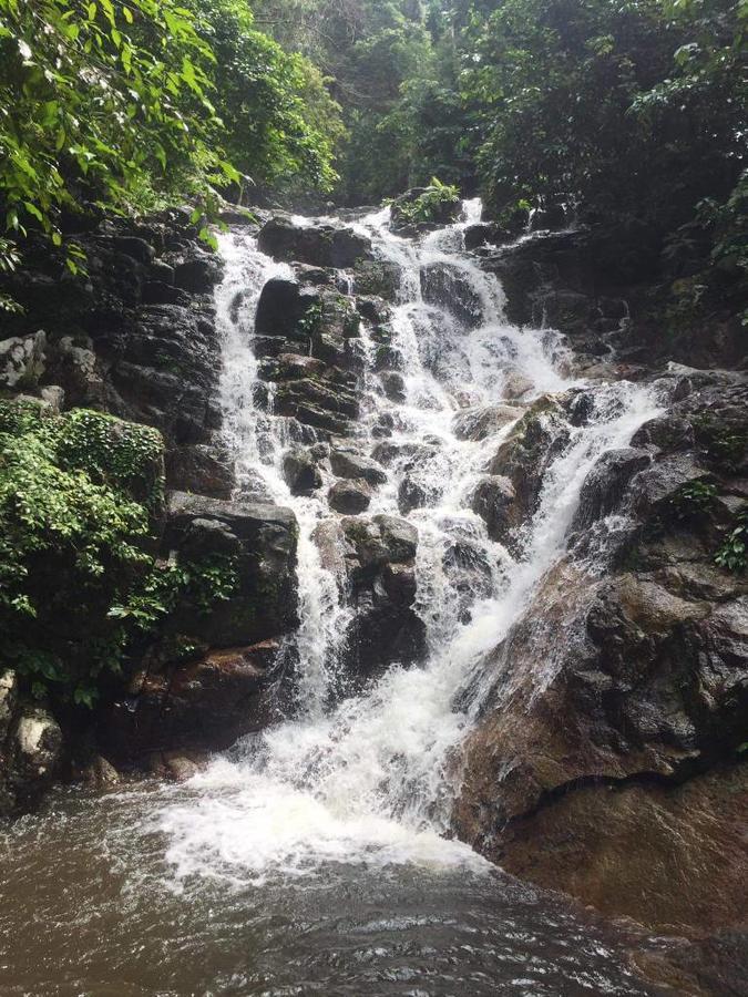 Kampong Pasir Sanang Burong Simukut Place المظهر الخارجي الصورة